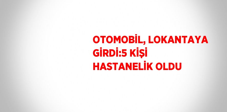 OTOMOBİL, LOKANTAYA GİRDİ:5 KİŞİ HASTANELİK OLDU