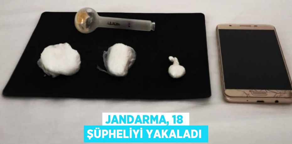 Jandarma, 18 şüpheliyi yakaladı