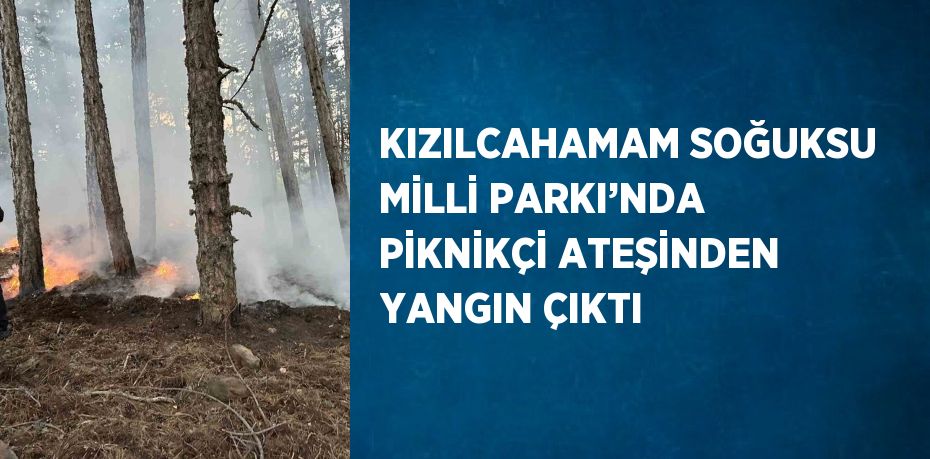 KIZILCAHAMAM SOĞUKSU MİLLİ PARKI’NDA PİKNİKÇİ ATEŞİNDEN YANGIN ÇIKTI