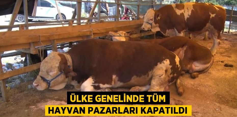 ÜLKE GENELİNDE TÜM HAYVAN PAZARLARI KAPATILDI