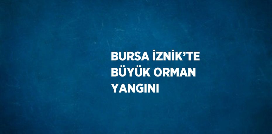 BURSA İZNİK’TE BÜYÜK ORMAN YANGINI