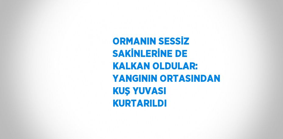 ORMANIN SESSİZ SAKİNLERİNE DE KALKAN OLDULAR: YANGININ ORTASINDAN KUŞ YUVASI KURTARILDI