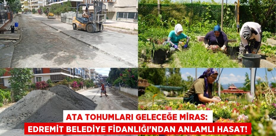 Ata Tohumları Geleceğe Miras: Edremit Belediye Fidanlığı'ndan Anlamlı Hasat!