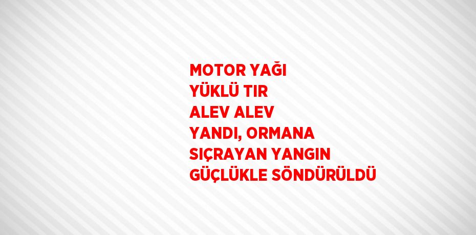 MOTOR YAĞI YÜKLÜ TIR ALEV ALEV YANDI, ORMANA SIÇRAYAN YANGIN GÜÇLÜKLE SÖNDÜRÜLDÜ