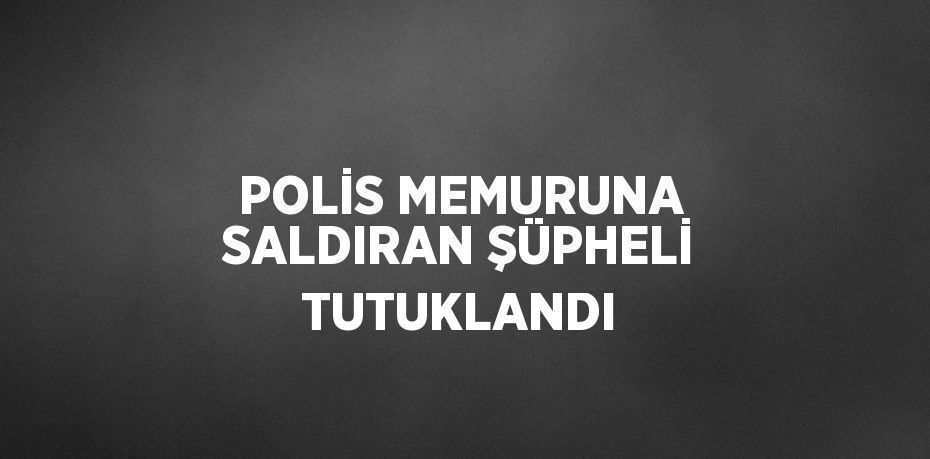 POLİS MEMURUNA SALDIRAN ŞÜPHELİ TUTUKLANDI