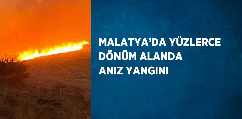 MALATYA’DA YÜZLERCE DÖNÜM ALANDA ANIZ YANGINI