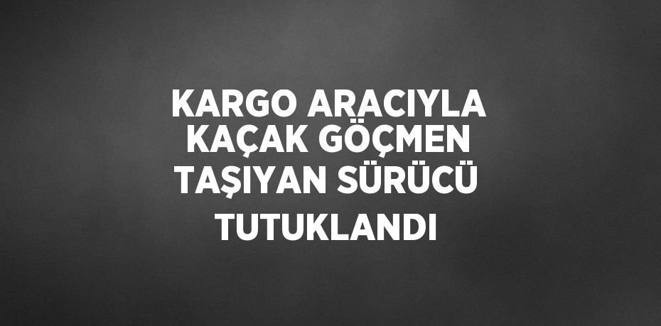 KARGO ARACIYLA KAÇAK GÖÇMEN TAŞIYAN SÜRÜCÜ TUTUKLANDI