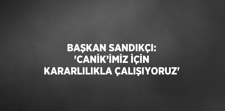 BAŞKAN SANDIKÇI: 'CANİK’İMİZ İÇİN KARARLILIKLA ÇALIŞIYORUZ'