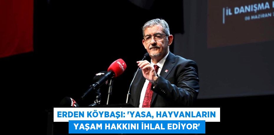 ERDEN KÖYBAŞI: “YASA, HAYVANLARIN  YAŞAM HAKKINI İHLAL EDİYOR”