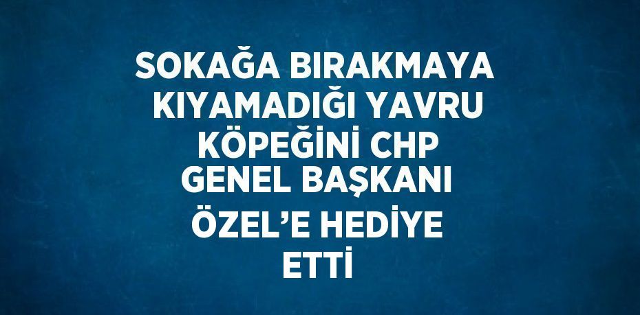 SOKAĞA BIRAKMAYA KIYAMADIĞI YAVRU KÖPEĞİNİ CHP GENEL BAŞKANI ÖZEL’E HEDİYE ETTİ