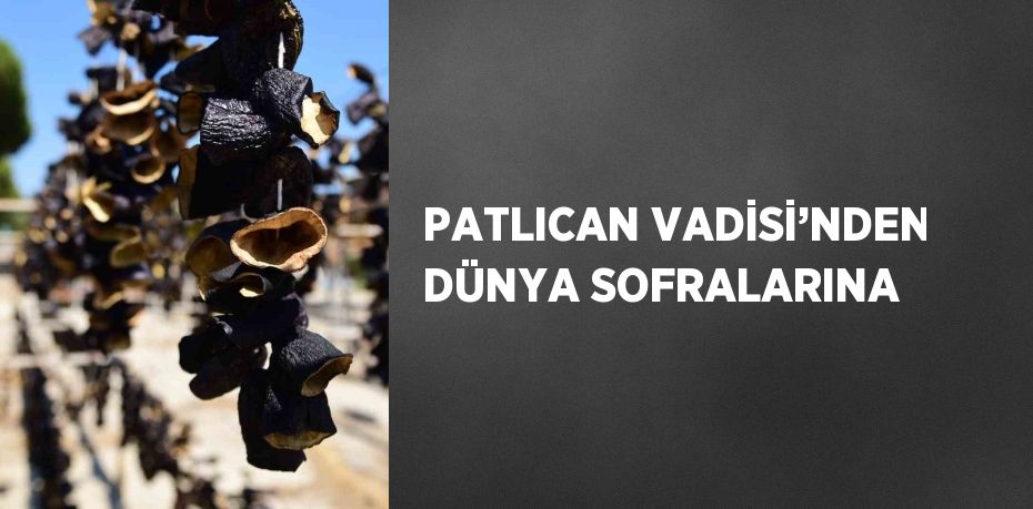 PATLICAN VADİSİ’NDEN DÜNYA SOFRALARINA