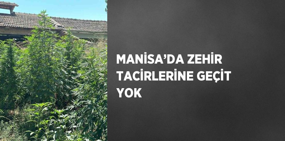 MANİSA’DA ZEHİR TACİRLERİNE GEÇİT YOK