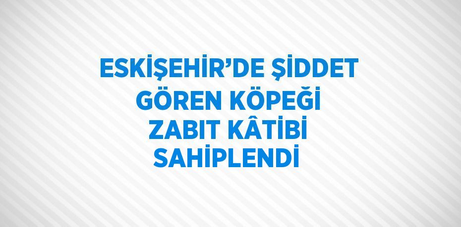 ESKİŞEHİR’DE ŞİDDET GÖREN KÖPEĞİ ZABIT KÂTİBİ SAHİPLENDİ