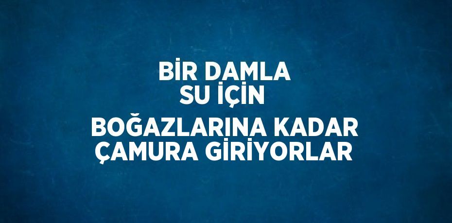 BİR DAMLA SU İÇİN BOĞAZLARINA KADAR ÇAMURA GİRİYORLAR