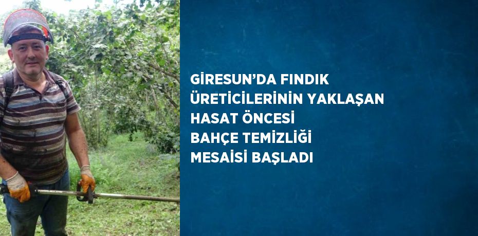 GİRESUN’DA FINDIK ÜRETİCİLERİNİN YAKLAŞAN HASAT ÖNCESİ BAHÇE TEMİZLİĞİ MESAİSİ BAŞLADI