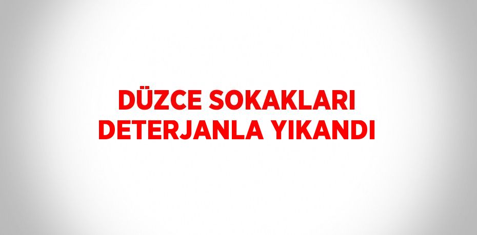 DÜZCE SOKAKLARI DETERJANLA YIKANDI