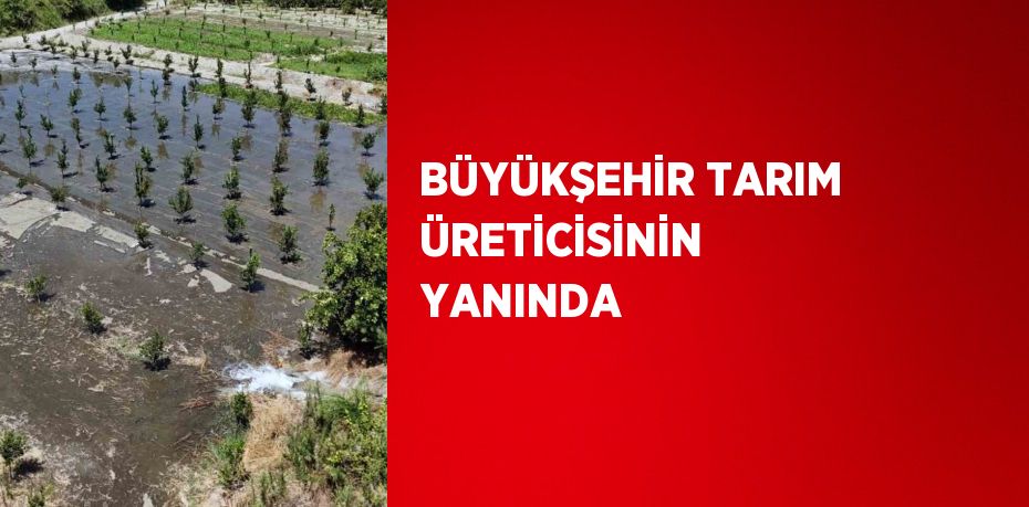 BÜYÜKŞEHİR TARIM ÜRETİCİSİNİN YANINDA