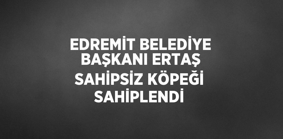 EDREMİT BELEDİYE BAŞKANI ERTAŞ SAHİPSİZ KÖPEĞİ SAHİPLENDİ