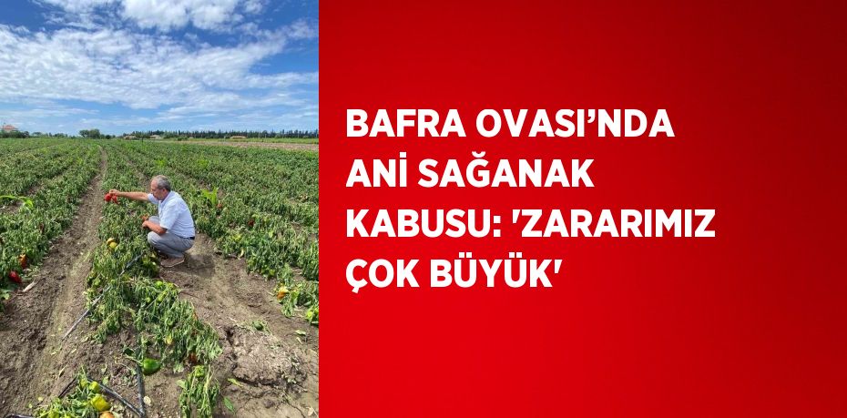 BAFRA OVASI’NDA ANİ SAĞANAK KABUSU: 'ZARARIMIZ ÇOK BÜYÜK'