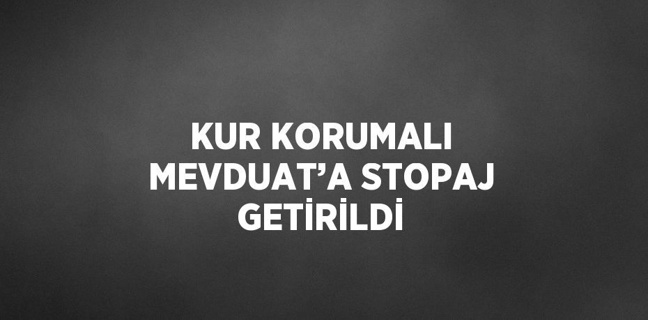 KUR KORUMALI MEVDUAT’A STOPAJ GETİRİLDİ