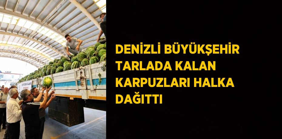 DENİZLİ BÜYÜKŞEHİR TARLADA KALAN KARPUZLARI HALKA DAĞITTI