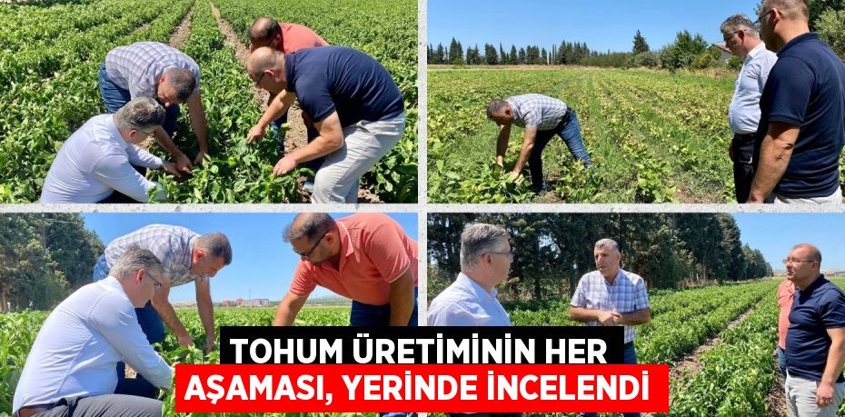 TOHUM ÜRETİMİNİN HER AŞAMASI, YERİNDE İNCELENDİ