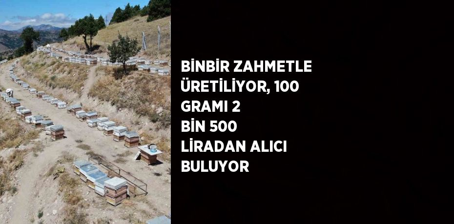 BİNBİR ZAHMETLE ÜRETİLİYOR, 100 GRAMI 2 BİN 500 LİRADAN ALICI BULUYOR