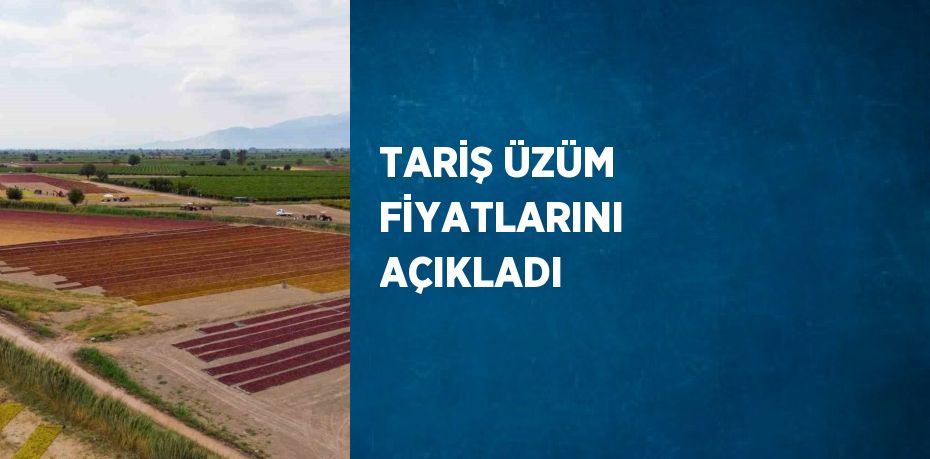 TARİŞ ÜZÜM FİYATLARINI AÇIKLADI