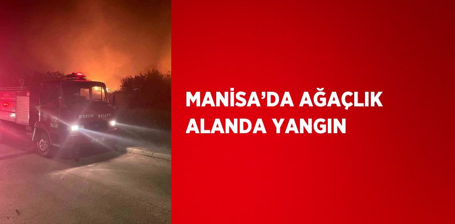 MANİSA’DA AĞAÇLIK ALANDA YANGIN