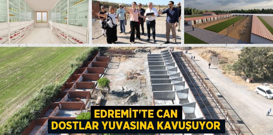 EDREMİT’TE CAN DOSTLAR YUVASINA KAVUŞUYOR