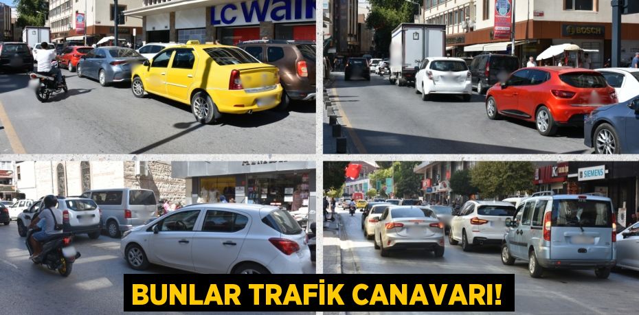 BUNLAR TRAFİK CANAVARI!