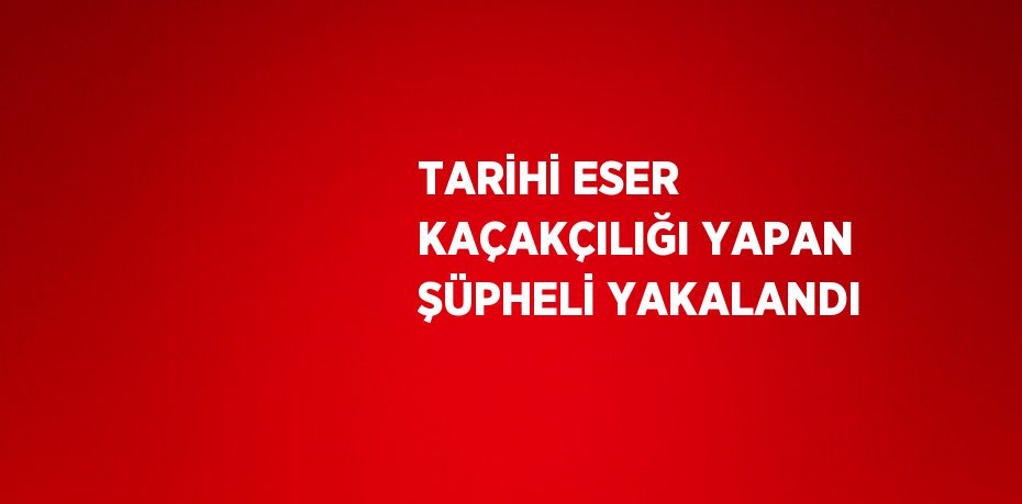 TARİHİ ESER KAÇAKÇILIĞI YAPAN ŞÜPHELİ YAKALANDI