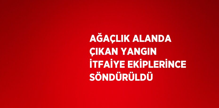 AĞAÇLIK ALANDA ÇIKAN YANGIN İTFAİYE EKİPLERİNCE SÖNDÜRÜLDÜ