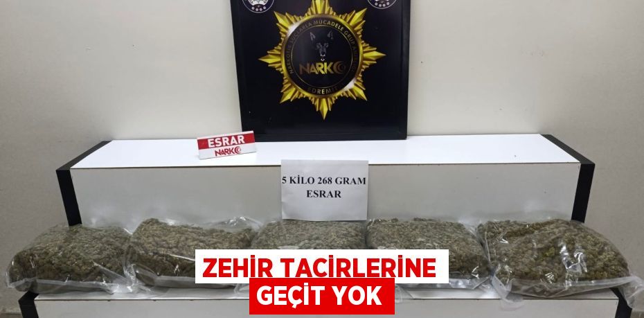 Zehir tacirlerine geçit yok
