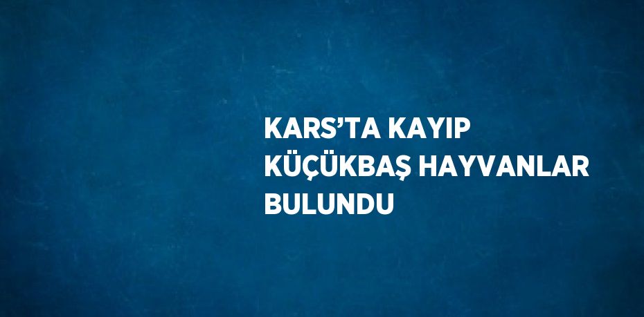 KARS’TA KAYIP KÜÇÜKBAŞ HAYVANLAR BULUNDU
