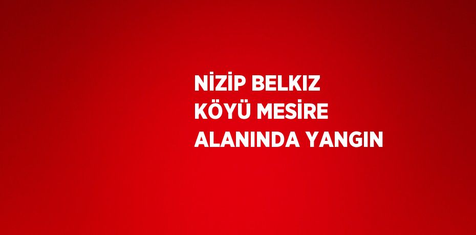 NİZİP BELKIZ KÖYÜ MESİRE ALANINDA YANGIN