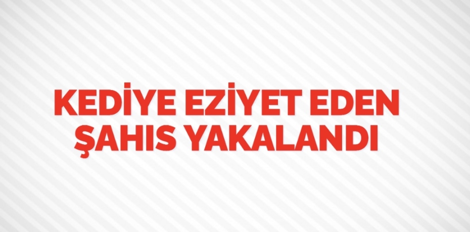 Kediye eziyet eden şahıs yakalandı