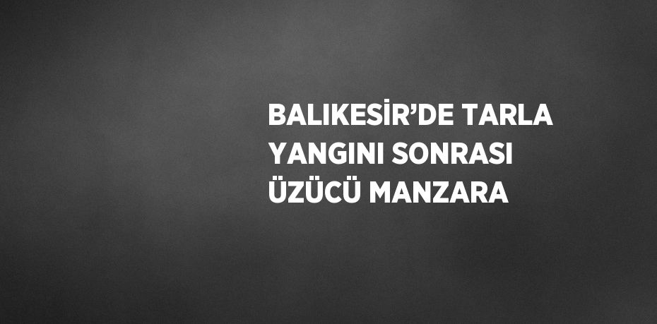 BALIKESİR’DE TARLA YANGINI SONRASI ÜZÜCÜ MANZARA