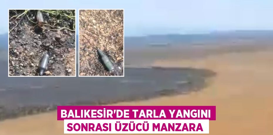 BALIKESİR'DE TARLA YANGINI SONRASI ÜZÜCÜ MANZARA