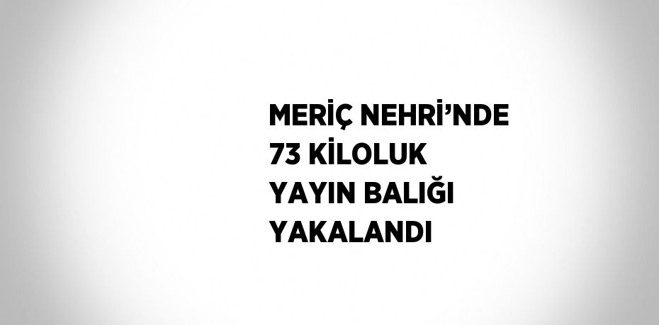 MERİÇ NEHRİ’NDE 73 KİLOLUK YAYIN BALIĞI YAKALANDI