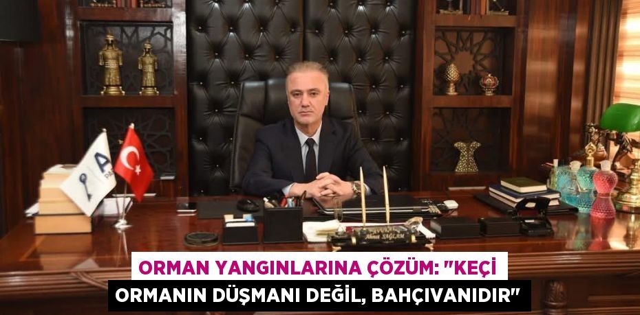 Orman Yangınlarına Çözüm: "Keçi Ormanın Düşmanı Değil, Bahçıvanıdır"