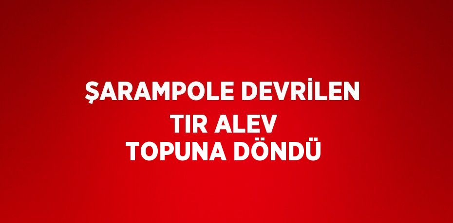ŞARAMPOLE DEVRİLEN TIR ALEV TOPUNA DÖNDÜ