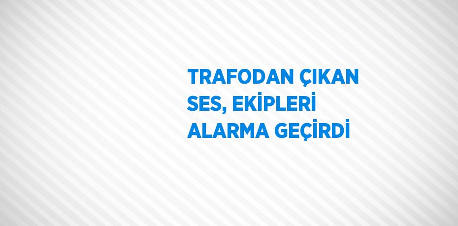 TRAFODAN ÇIKAN SES, EKİPLERİ ALARMA GEÇİRDİ