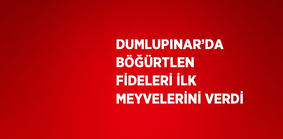 DUMLUPINAR’DA BÖĞÜRTLEN FİDELERİ İLK MEYVELERİNİ VERDİ
