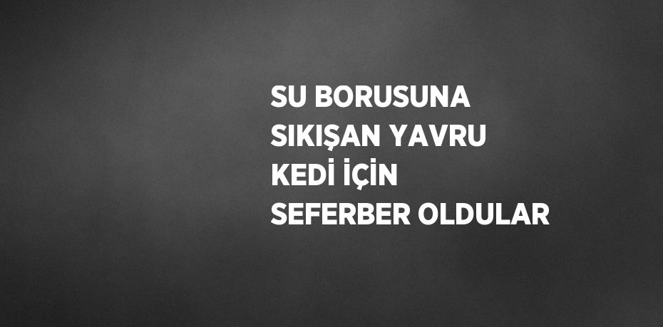 SU BORUSUNA SIKIŞAN YAVRU KEDİ İÇİN SEFERBER OLDULAR