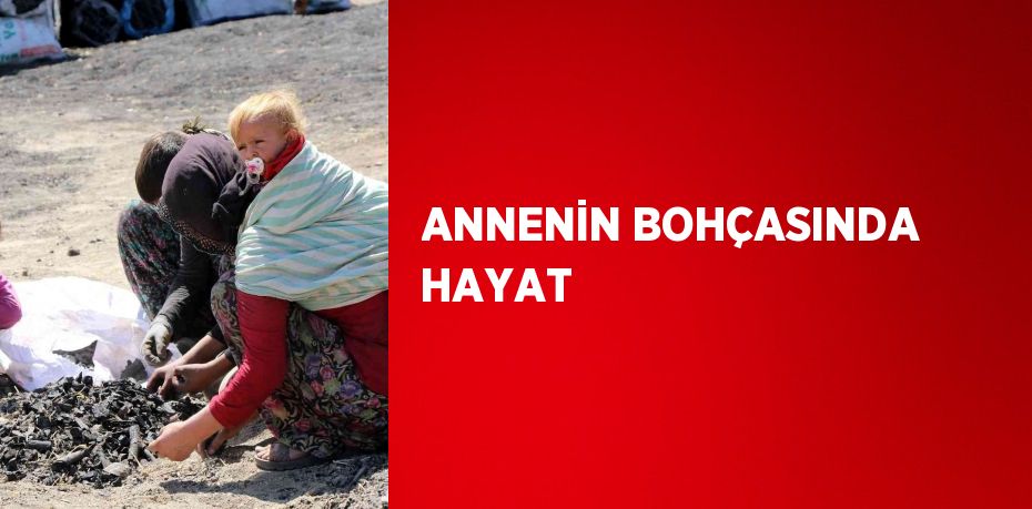 ANNENİN BOHÇASINDA HAYAT