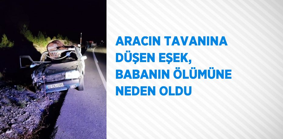 ARACIN TAVANINA DÜŞEN EŞEK, BABANIN ÖLÜMÜNE NEDEN OLDU