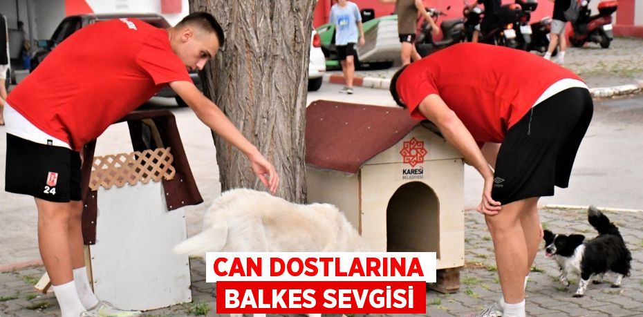 CAN DOSTLARINA BALKES SEVGİSİ