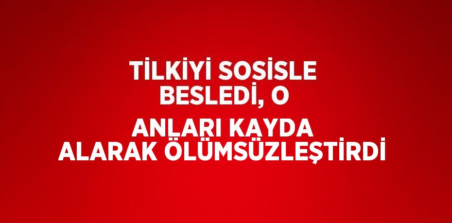 TİLKİYİ SOSİSLE BESLEDİ, O ANLARI KAYDA ALARAK ÖLÜMSÜZLEŞTİRDİ