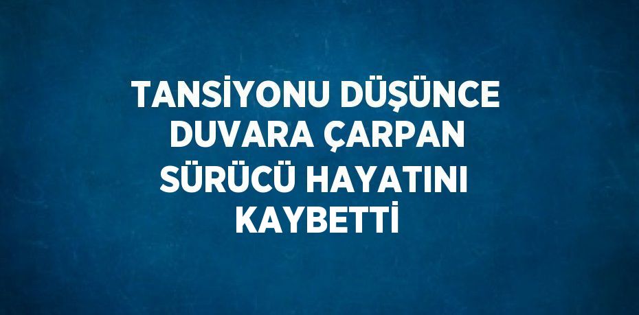 TANSİYONU DÜŞÜNCE DUVARA ÇARPAN SÜRÜCÜ HAYATINI KAYBETTİ